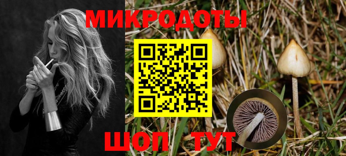 Псилоцибиновые грибы Psilocybine cubensis Заречный