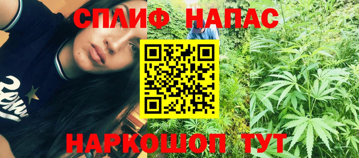 Марихуана марихуана  МАРИХУАНА сатива  Вход с VPN  Шишки марихуана гибрид  Заречный 